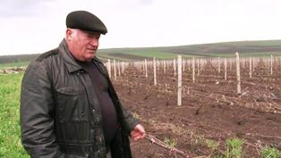 Video: Reducing the Risks of Wild Weather in Moldova